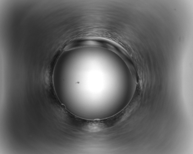 X0000088700708200705311215