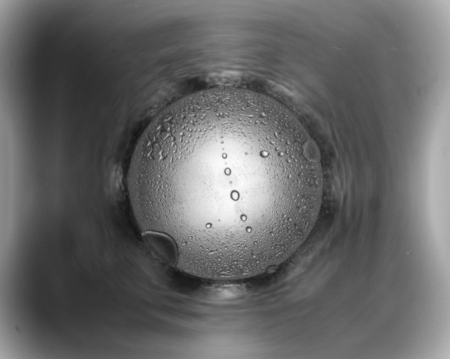 X0000088700711200705311215