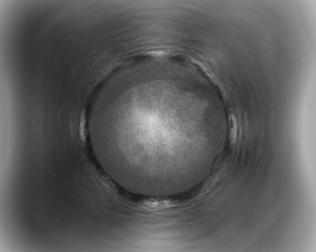 X0000088700712200705311215
