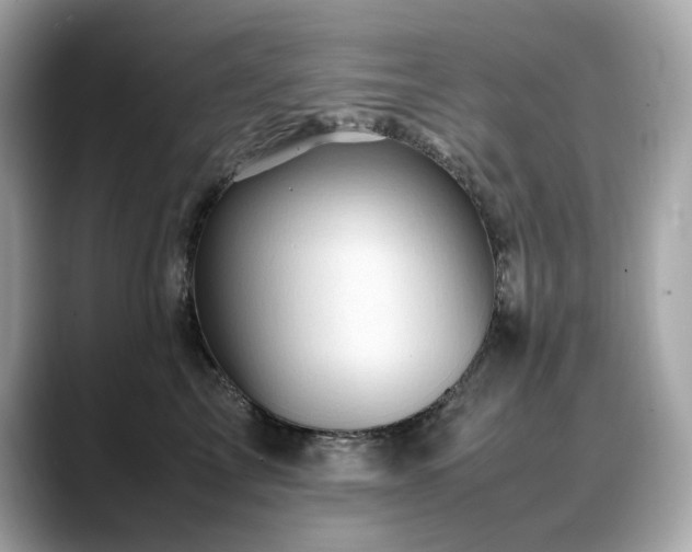 X0000088700713200705311215