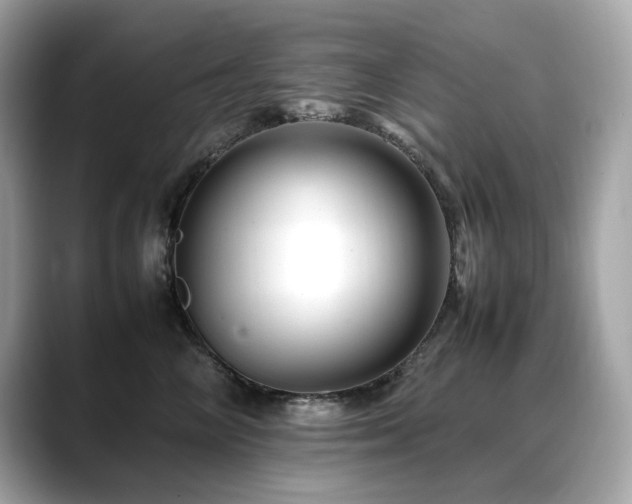 X0000088700714200705311215