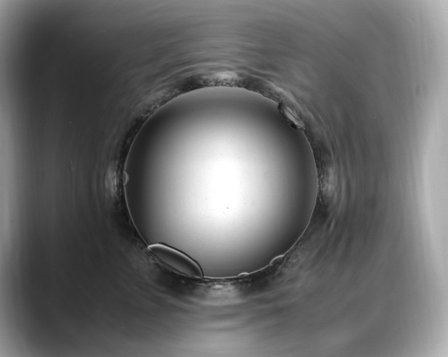 X0000088700715200705311215