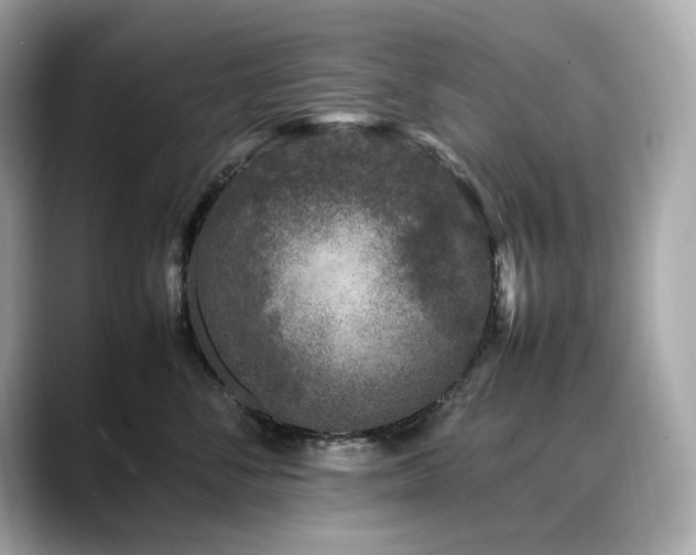 X0000088700716200705311215
