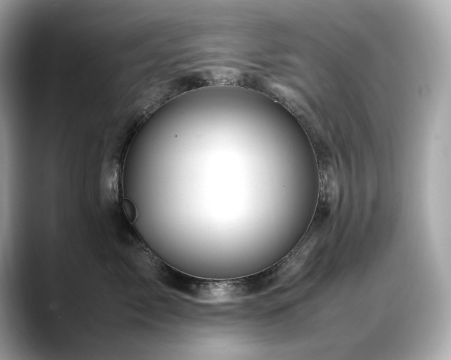 X0000088700717200705311215