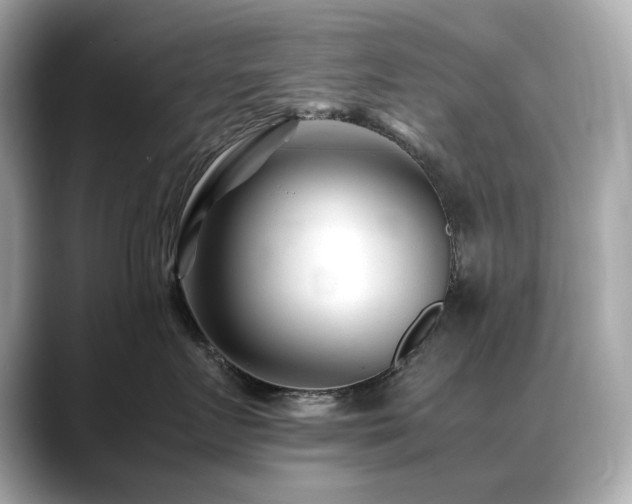 X0000088700719200705311215