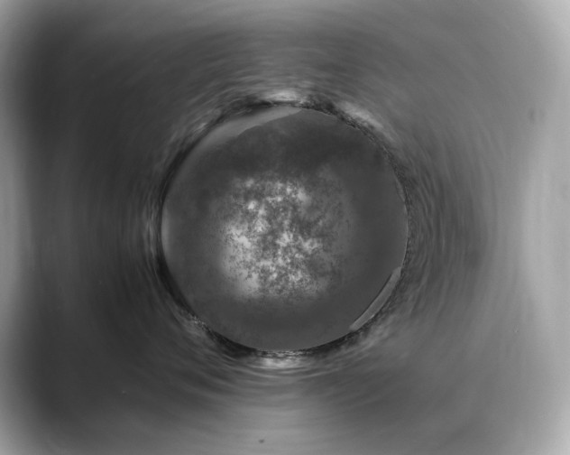 X0000088700720200705311215
