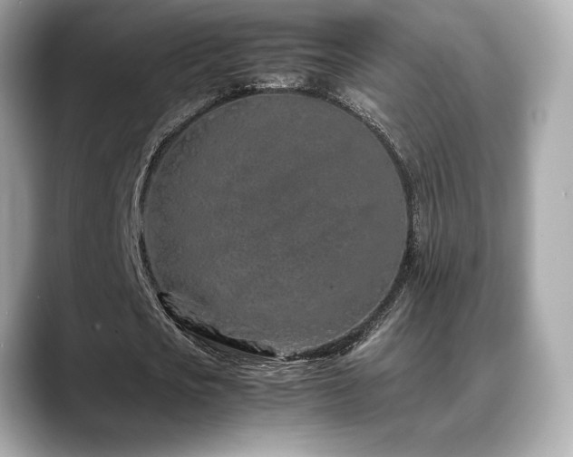 X0000088700721200705311214