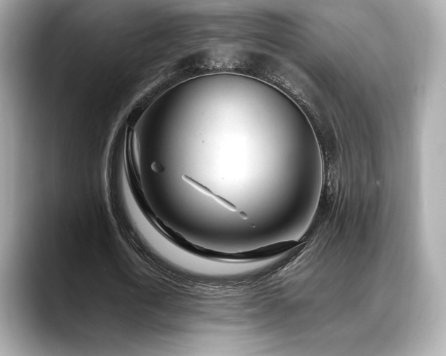 X0000088700722200705311214