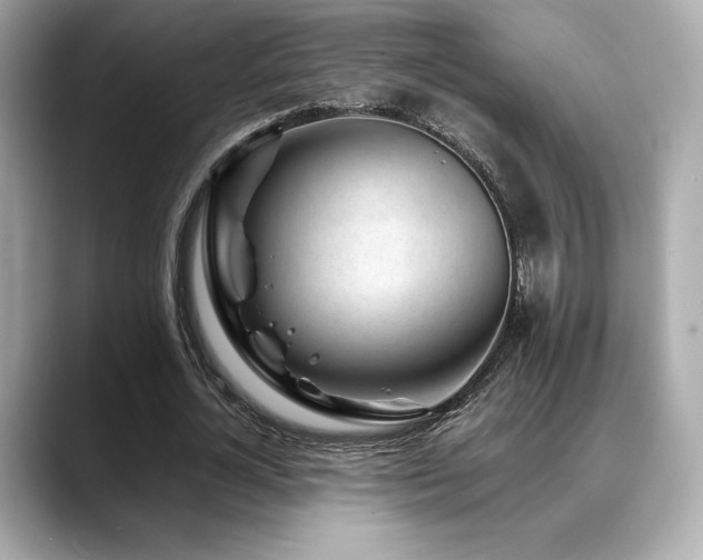 X0000088700724200705311214