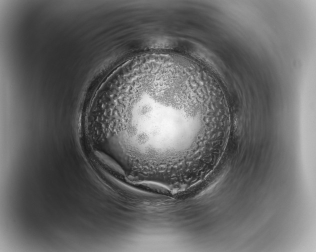 X0000088700725200705311214