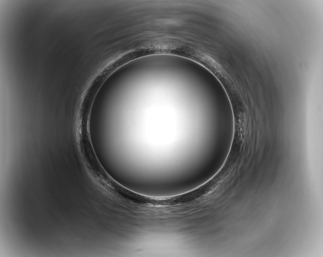 X0000088700726200705311214