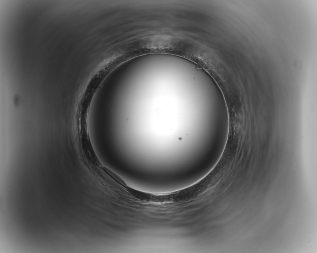 X0000088700727200705311214