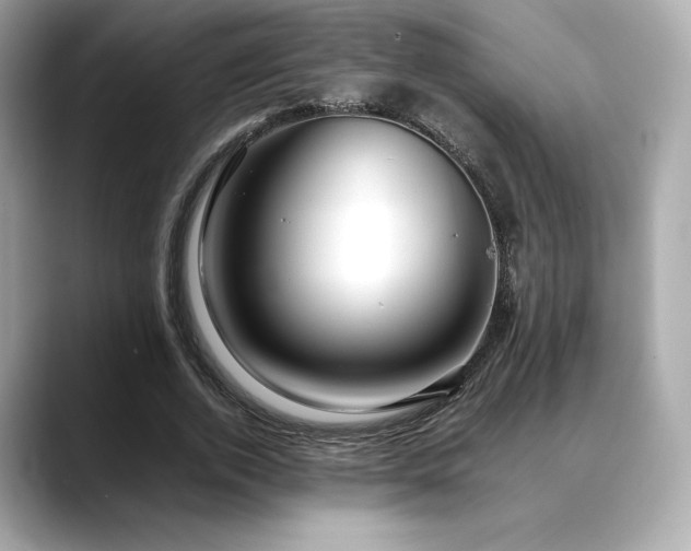 X0000088700728200705311214