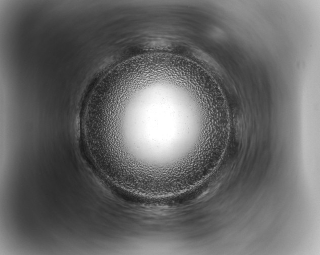 X0000088700729200705311214