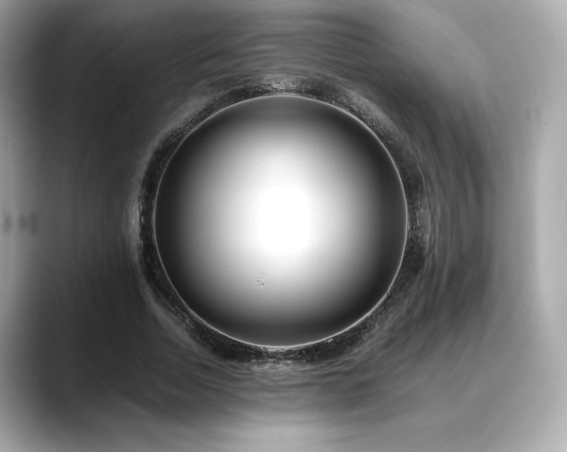 X0000088700730200705311214