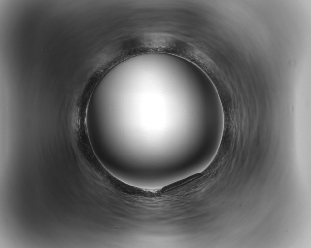 X0000088700731200705311214
