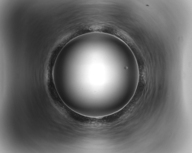 X0000088700732200705311214