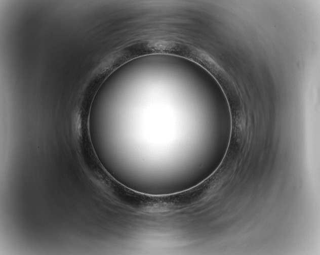 X0000088700734200705311214
