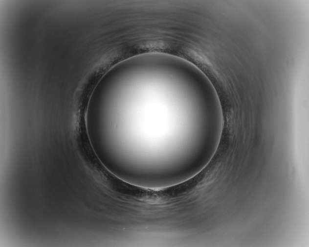 X0000088700735200705311214