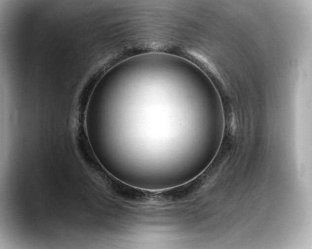 X0000088700736200705311214