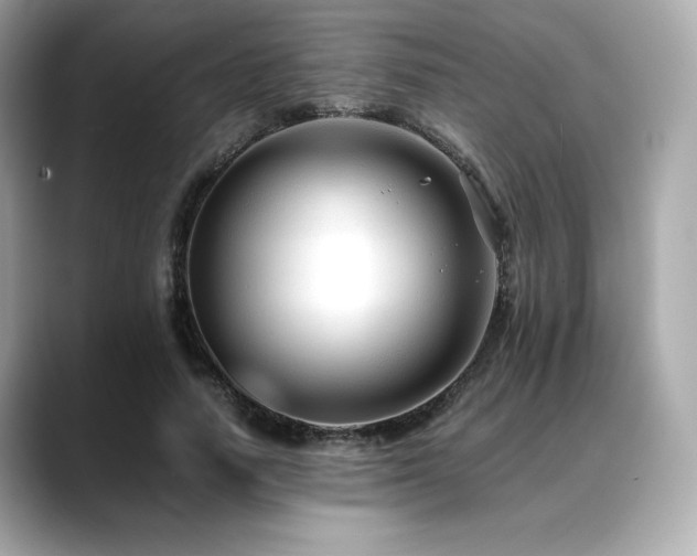 X0000088700738200705311215