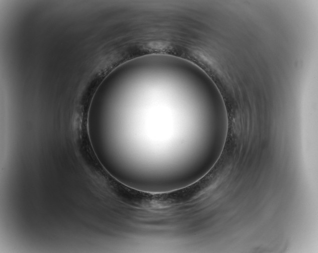 X0000088700739200705311215