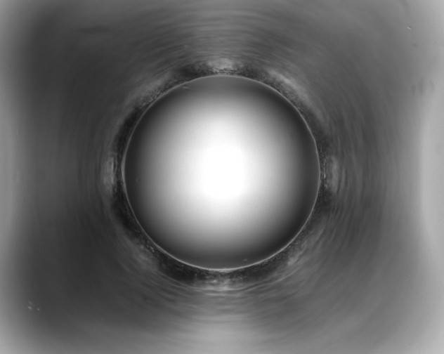 X0000088700740200705311215