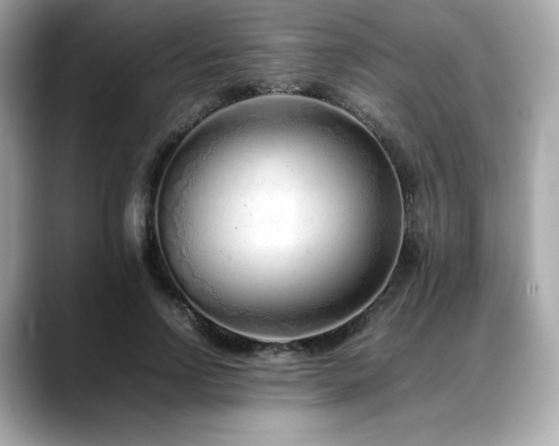 X0000088700742200705311215