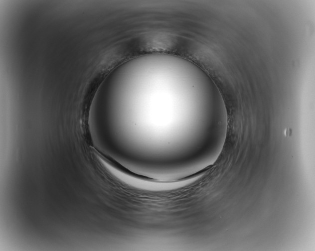 X0000088700743200705311215