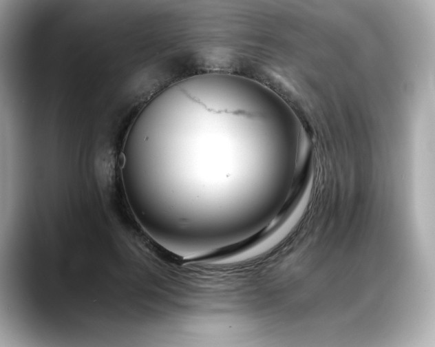 X0000088700744200705311215
