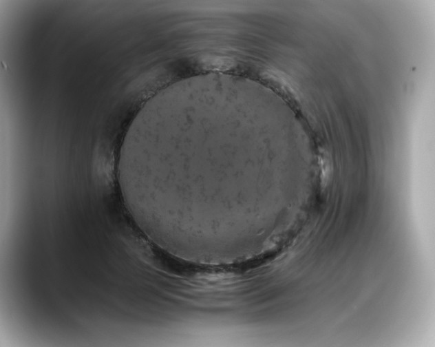 X0000088700745200705311215