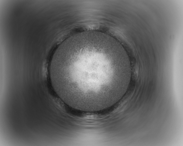 X0000088700746200705311215