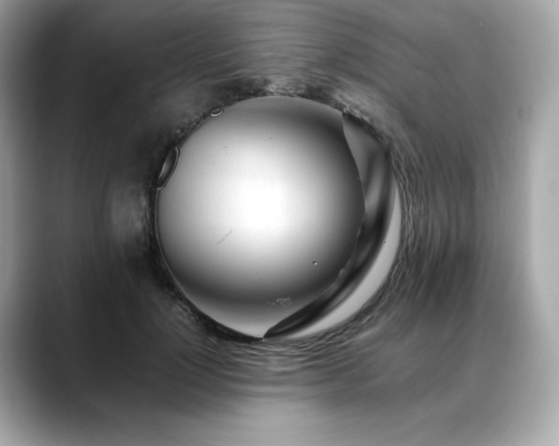 X0000088700748200705311215
