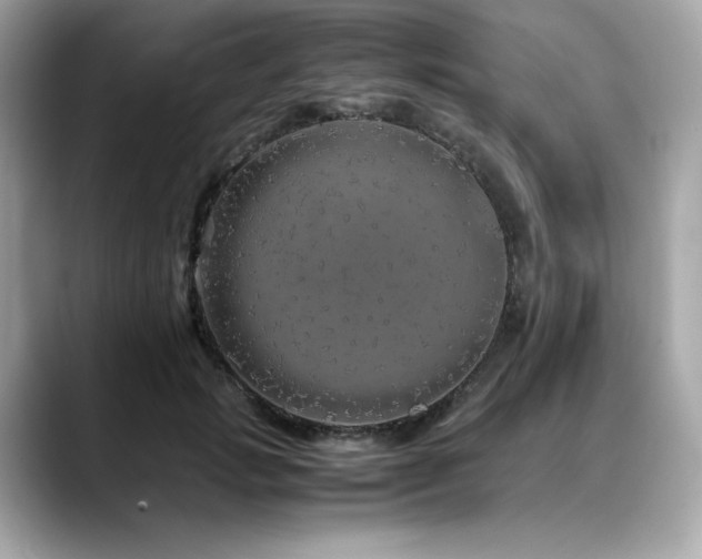 X0000088700749200705311215