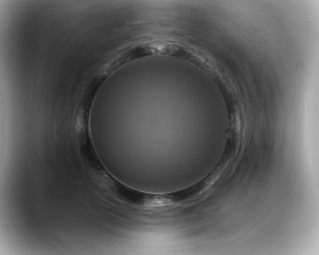 X0000088700754200705311215