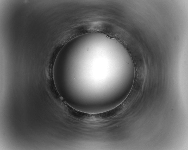 X0000088700755200705311215