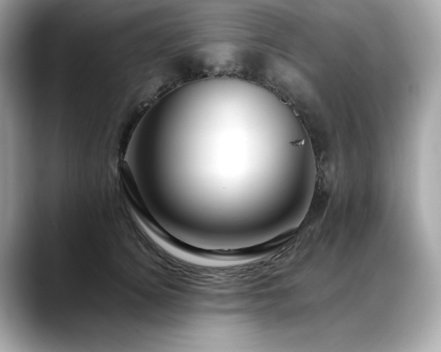 X0000088700756200705311215