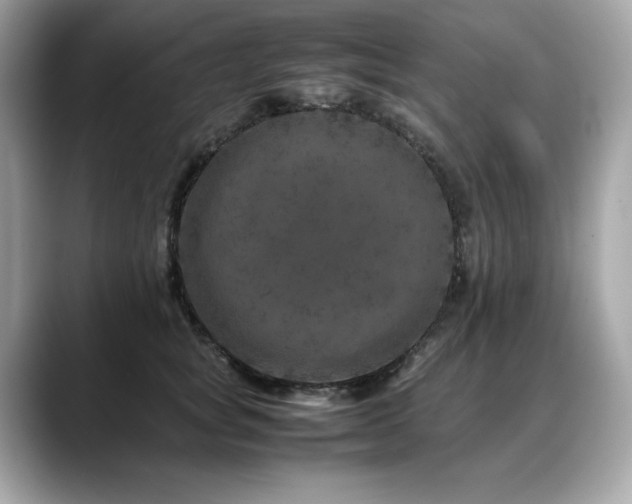 X0000088700757200705311215