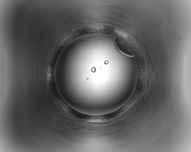 X0000088700758200705311215