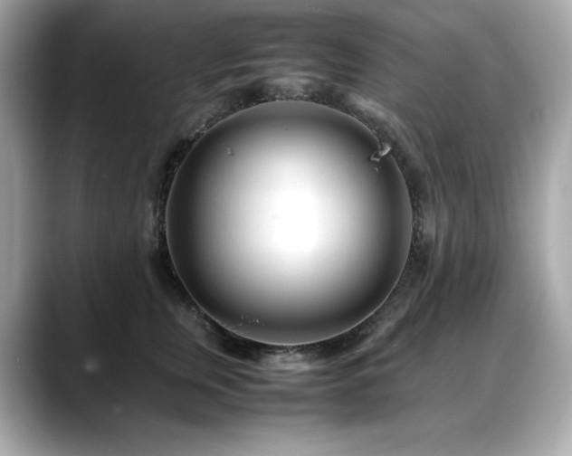 X0000088700759200705311215