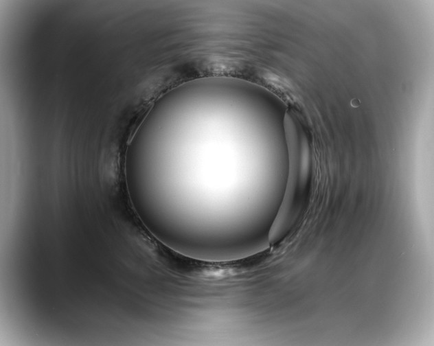X0000088700760200705311215