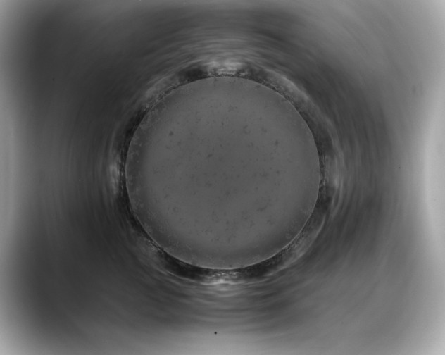 X0000088700761200705311215