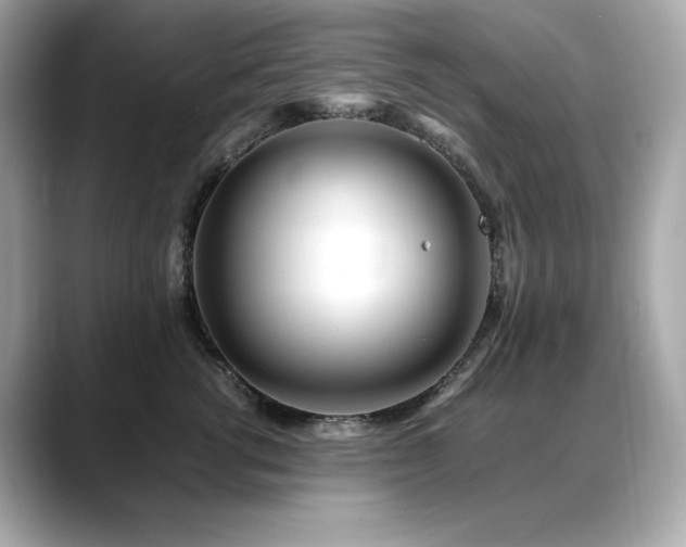 X0000088700762200705311215