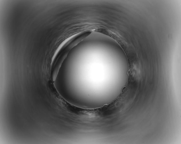 X0000088700763200705311215