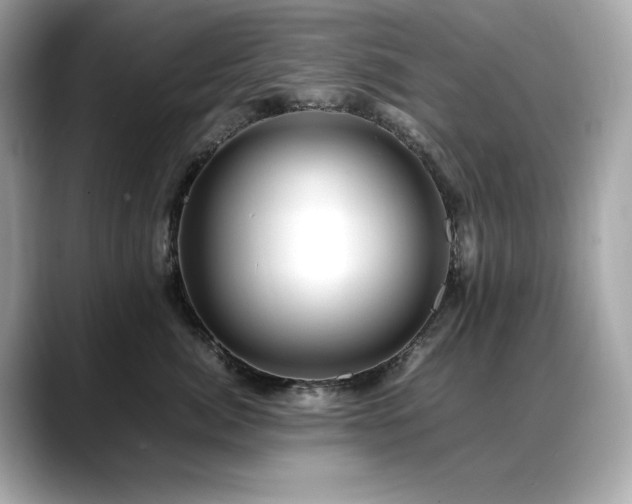 X0000088700764200705311215