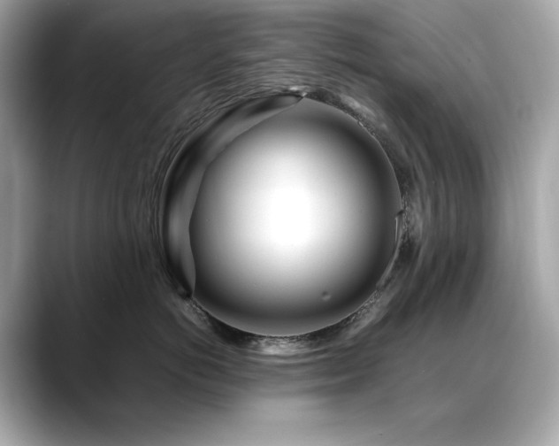X0000088700766200705311215
