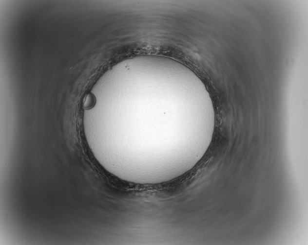 X0000088700769200705311214
