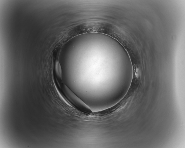 X0000088700771200705311214