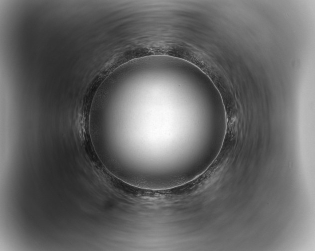 X0000088700772200705311214