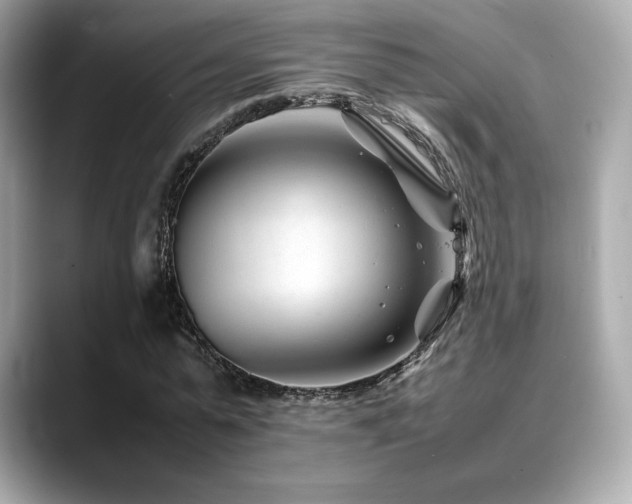 X0000088700775200705311214